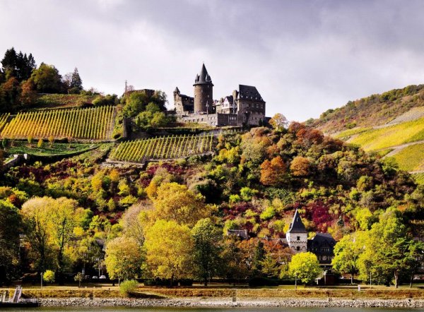 Есенна красота от винарна край река Рейн в Германия. Снимка: БТА