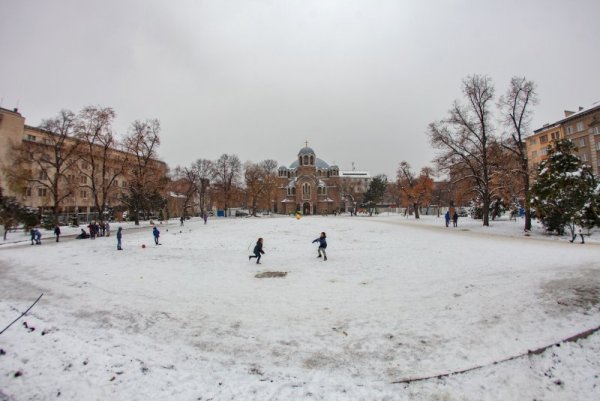Снимка: Димитър Кьосемарлиев, Dnes.bg