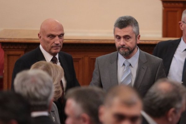 Снимка: Димитър Кьосемарлиев, Dnes.bg