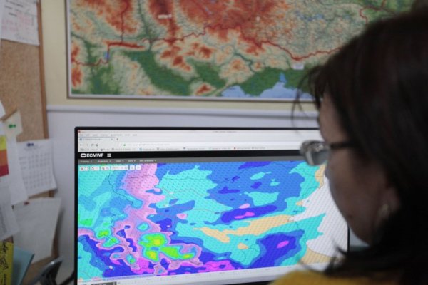 Снимка: Димитър Кьосемарлиев, Dnes.bg