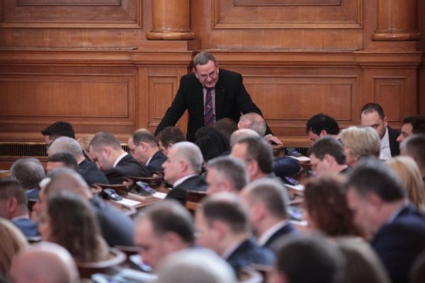 Снимка: Димитър Кьосемарлиев, Dnes.bg