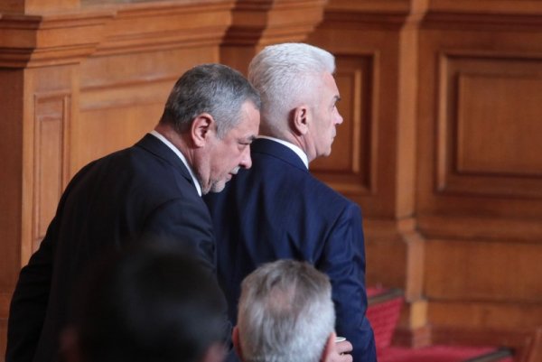 Снимка: Димитър Кьосемарлиев, Dnes.bg