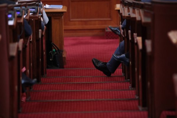 Снимка: Димитър Кьосемарлиев, Dnes.bg