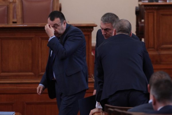 Снимка: Димитър Кьосемарлиев, Dnes.bg