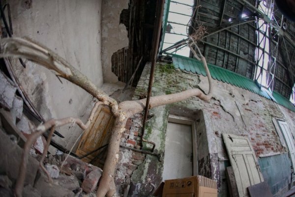 Сника: Димитър Кьосемарлиев, dnes.bg
