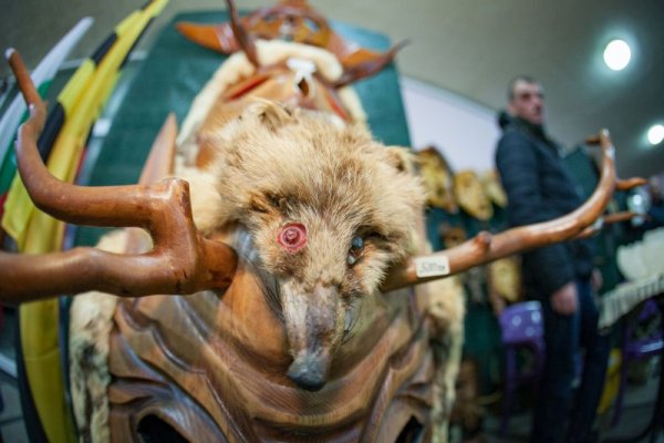 Снимка: Димитър Кьосемарлиев, Dnes.bg