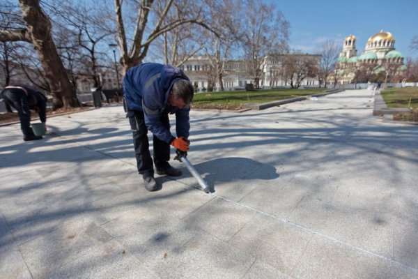 Снимка: Димитър Кьосемарлиев, Dnes.bg