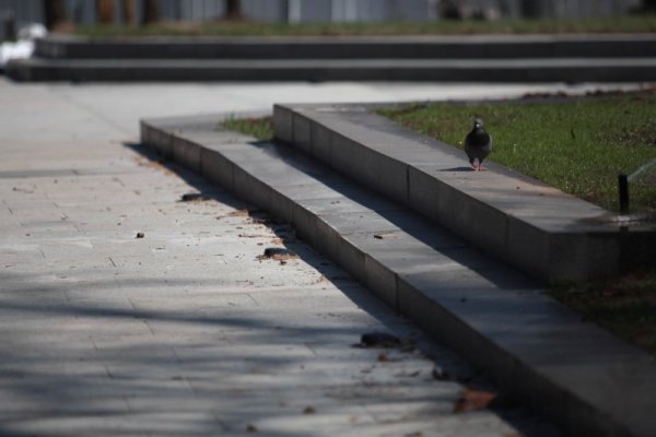 Снимка: Димитър Кьосемарлиев, Dnes.bg