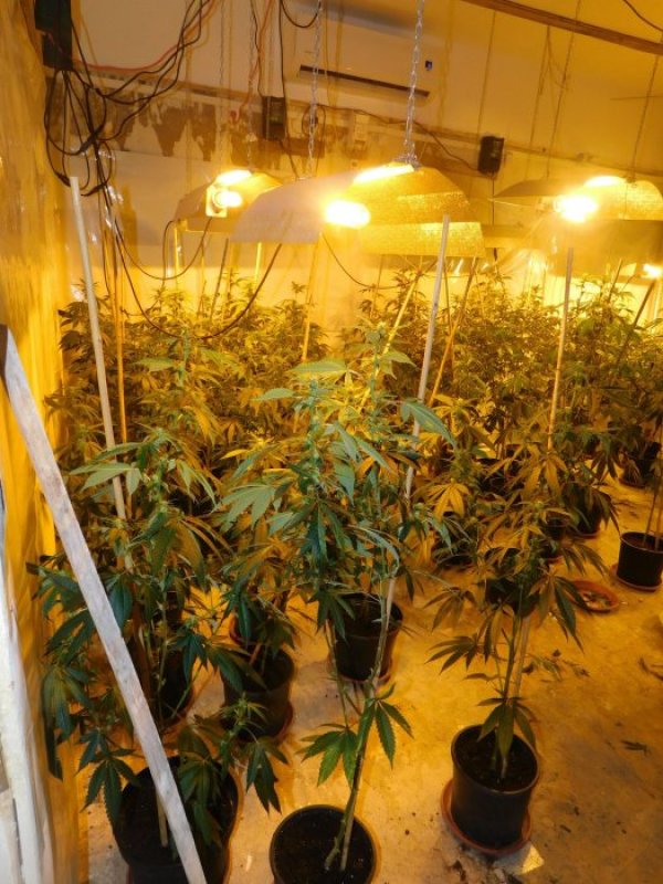 Снимка: МВР