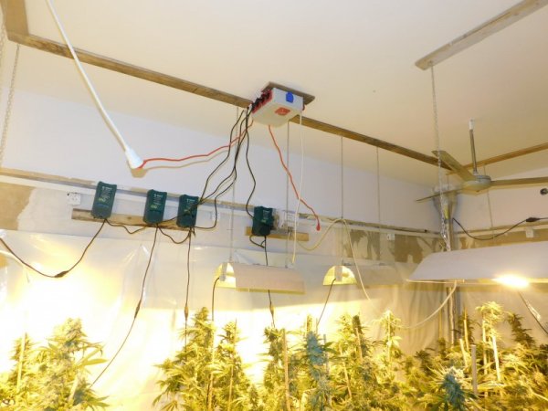 Снимка: МВР