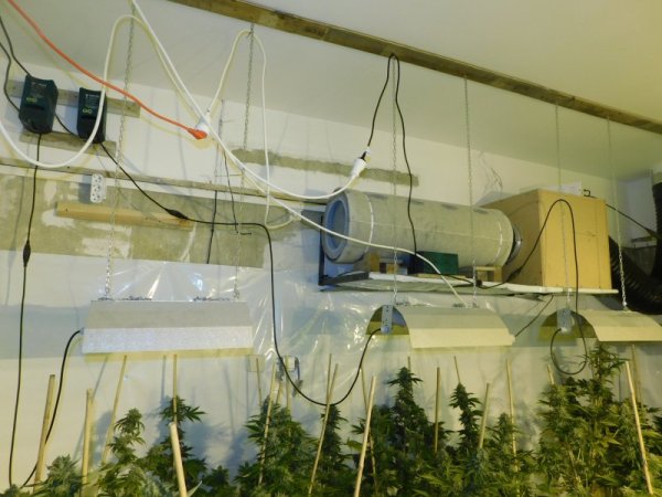 Снимка: МВР