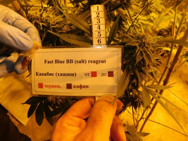 Снимка: МВР