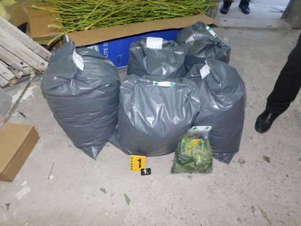 Снимка: МВР