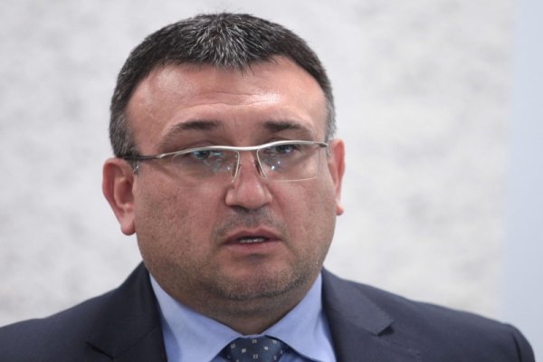 Снимка: Димитър Кьосемарлиев, Dnes.bg