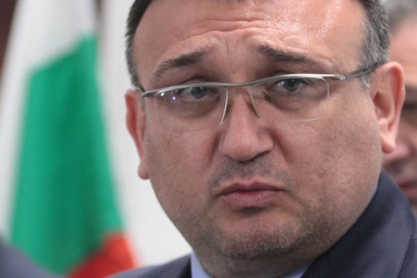 Снимка: Димитър Кьосемарлиев, Dnes.bg