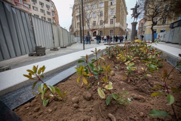 Снимка: Димитър Кьосемарлиев, Dnes.bg