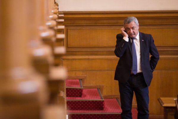 Снимка: Димитър Кьосемарлиев, Dnes.bg