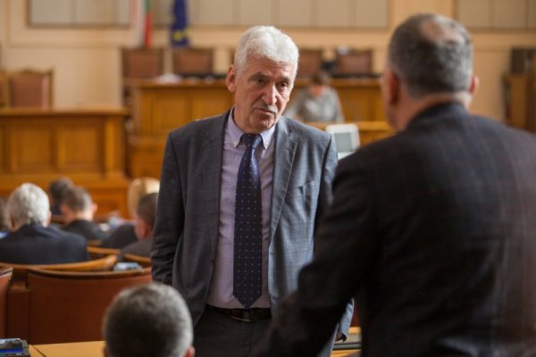 Снимка: Димитър Кьосемарлиев, Dnes.bg