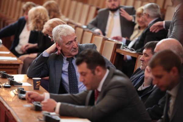 Снимка: Димитър Кьосемарлиев, Dnes.bg