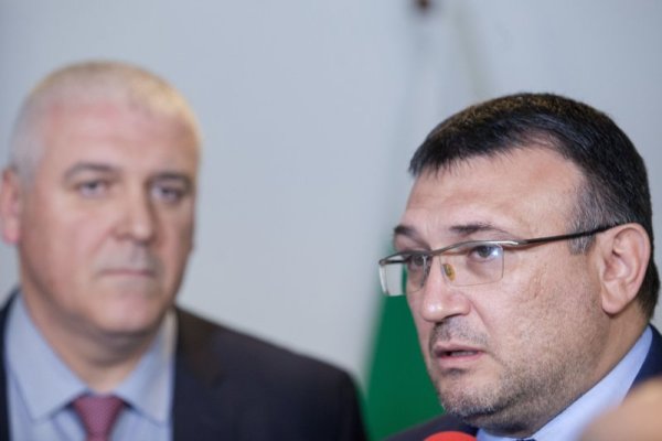 Снимка: Димитър Кьосемарлиев, Dnes.bg