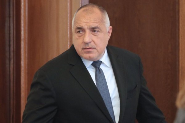 Снимка: Димитър Кьосемарлиев, Dnes.bg