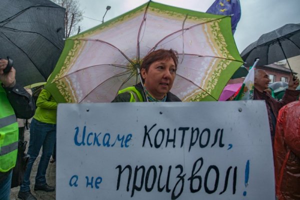 Снимка: Димитър Кьосемарлиев, Dnes.bg