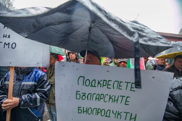 Снимка: Димитър Кьосемарлиев, Dnes.bg