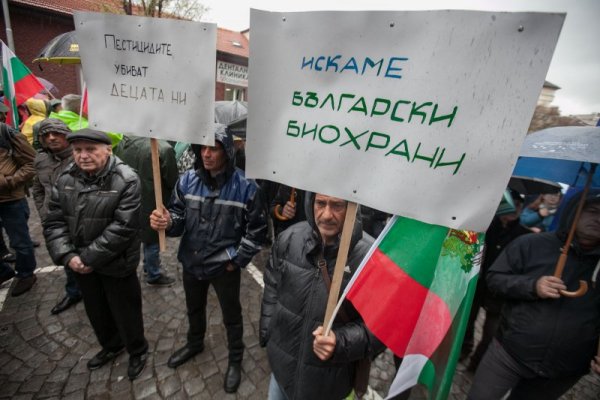 Снимка: Димитър Кьосемарлиев, Dnes.bg