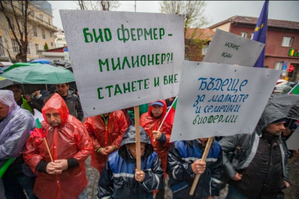 Снимка: Димитър Кьосемарлиев, Dnes.bg