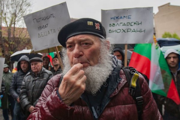 Снимка: Димитър Кьосемарлиев, Dnes.bg