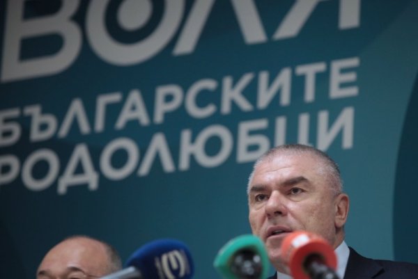 Снимка: Димитър Кьосемарлиев, Dnes.bg