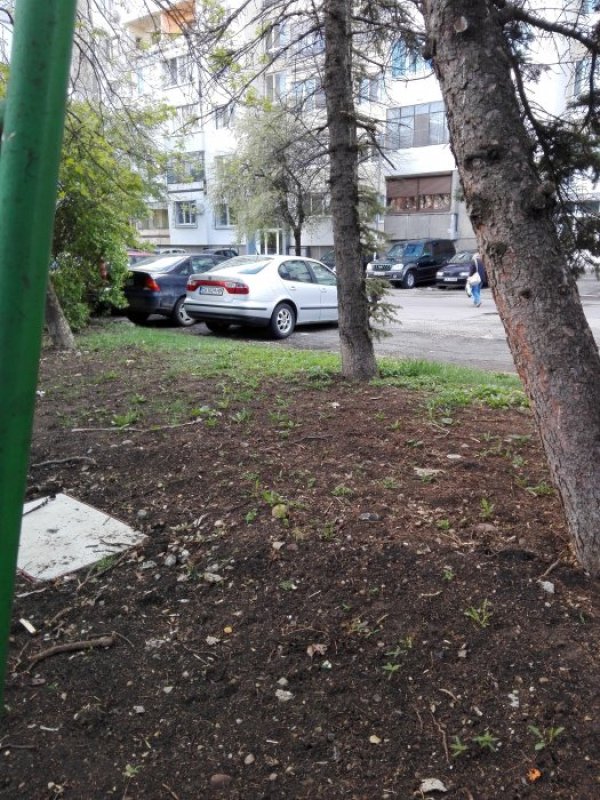 Снимка: Helpbook