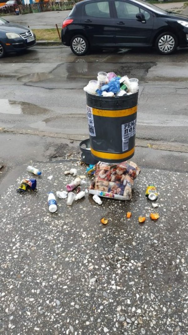 Снимка: Helpbook