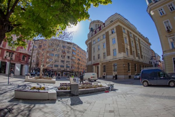 Снимка: Димитър Кьосемарлиев, Dnes.bg