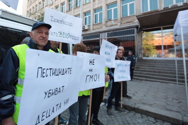 Снимка: Димитър Кьосемарлиев, Dnes.bg
