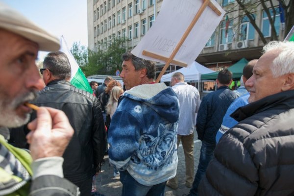 Снимка: Димитър Кьосемарлиев, Dnes.bg