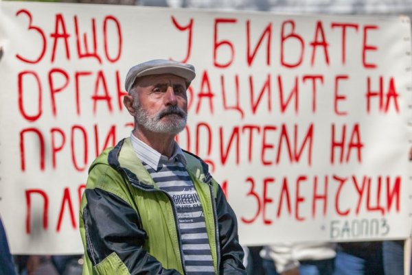 Снимка: Димитър Кьосемарлиев, Dnes.bg