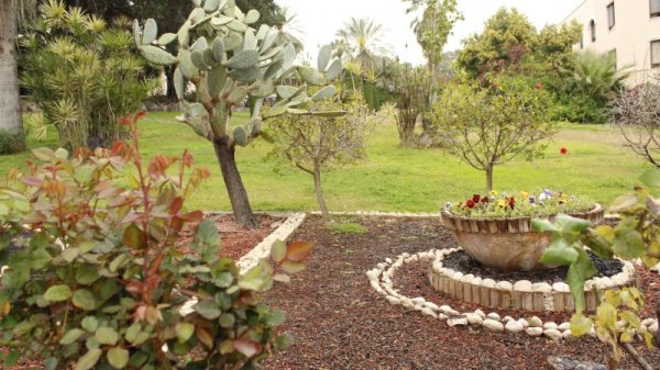 Градината пред Църквата на блаженствата.