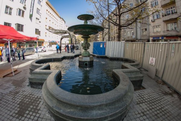 Снимка: Димитър Кьосемарлиев, Dnes.bg