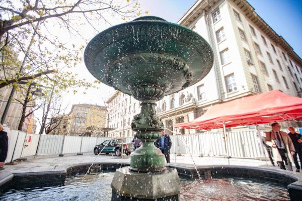 Снимка: Димитър Кьосемарлиев, Dnes.bg