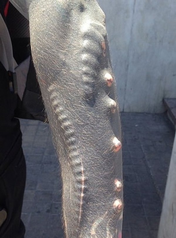 Снимка: Facebook