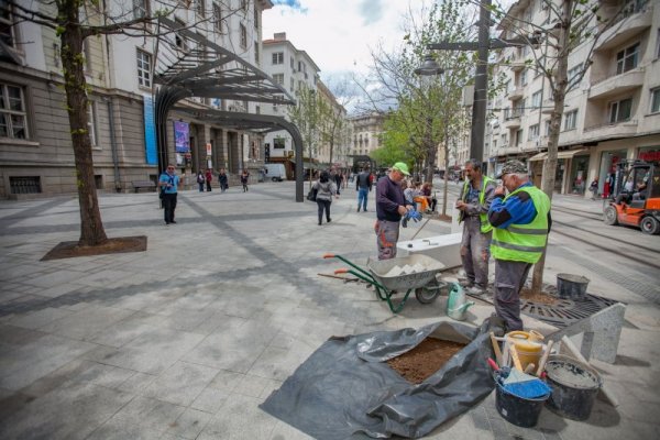 Снимка: Димитър Кьосемарлиев, Dnes.bg