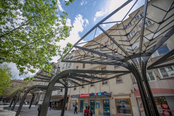 Снимка: Димитър Кьосемарлиев, Dnes.bg