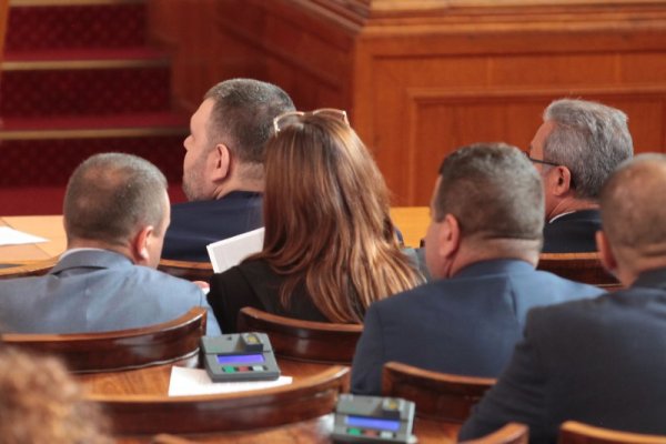Снимка: Димитър Кьосемарлиев, Dnes.bg