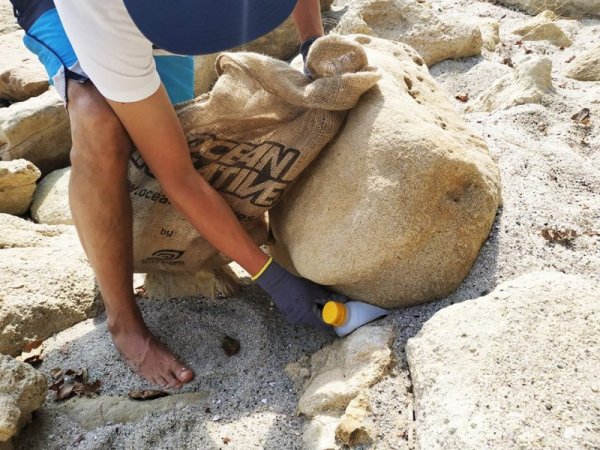 Снимка: Wind2Win