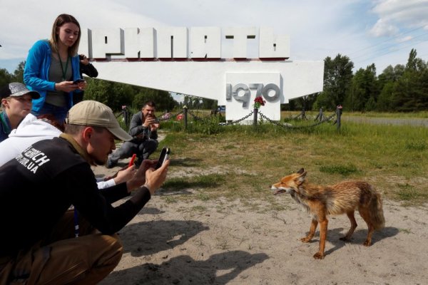 Снимка: Reuters