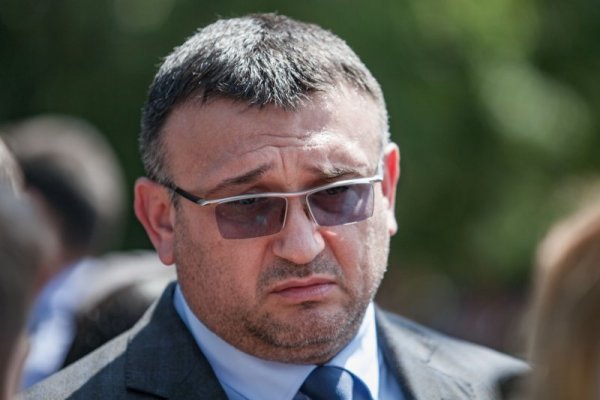 Снимка: Димитър Кьосемарлиев, Dnes.bg