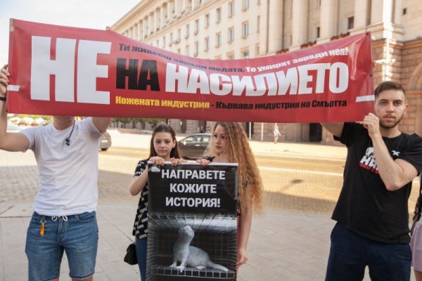 Снимка: Димитър Кьосемарлиев