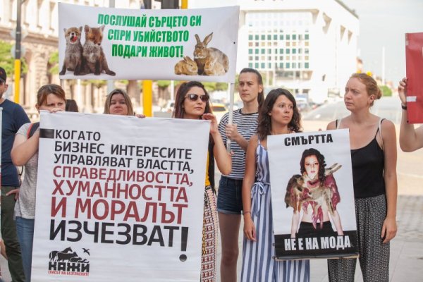 Снимка: Димитър Кьосемарлиев