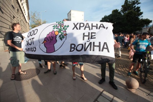 Снимка: Димитър Кьосемарлиев, Dnes.bg